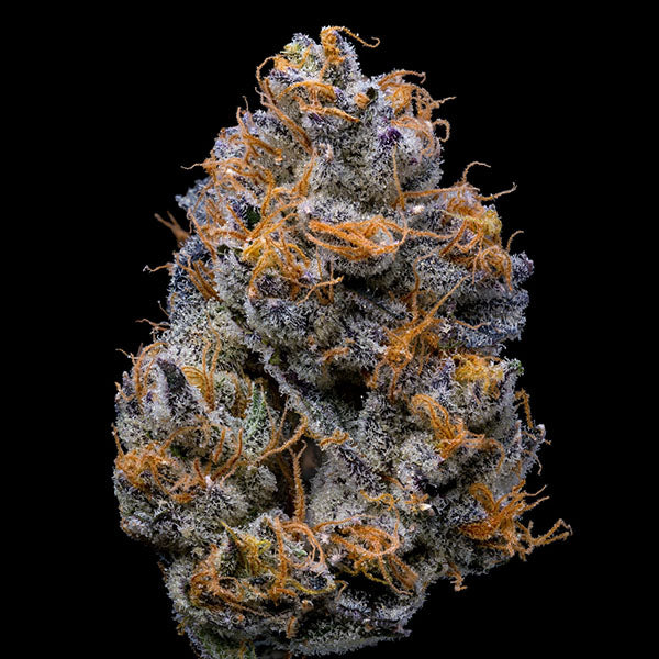 Velvet Cream 6 u. fem Cookies Seed Bank