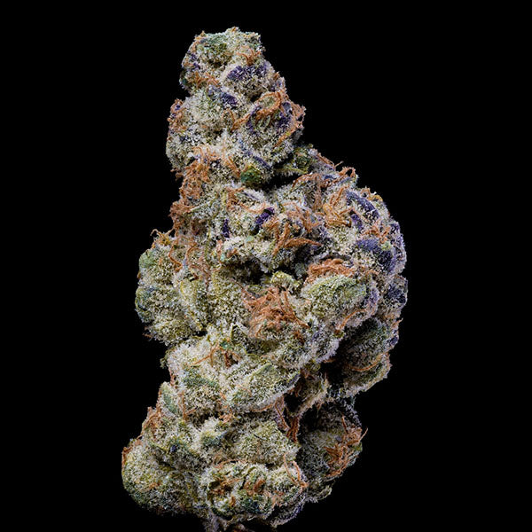 White Coconut Pie 6 u. fem Cookies Seed Bank