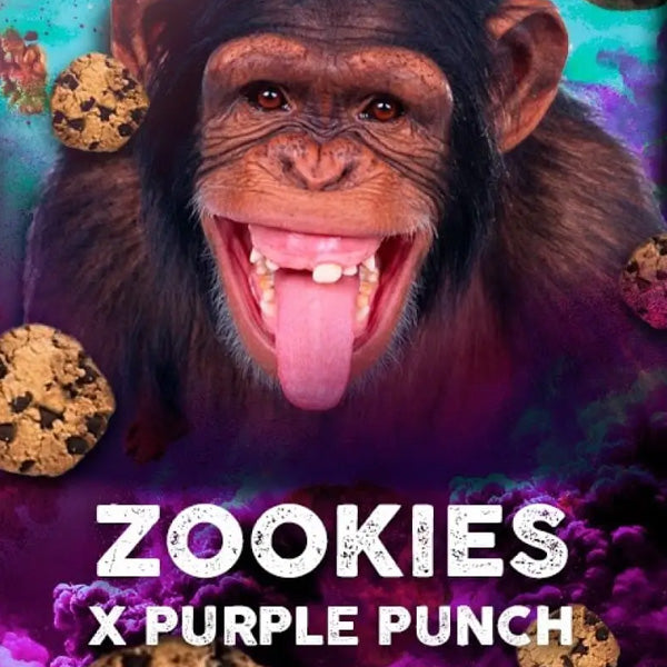Zookies 3 u. fem. Tramuntana Seeds