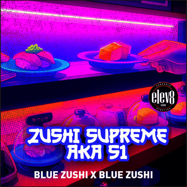 Zushi Supreme 3 ud. fem Elev8 Seeds