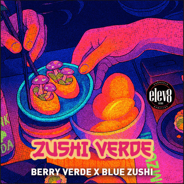 Zushi Verde 3 ud. fem Elev8 Seeds