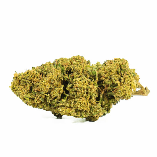 Cañamo Cbd Gorilla Glue 5 gr. Only Cbd Fans