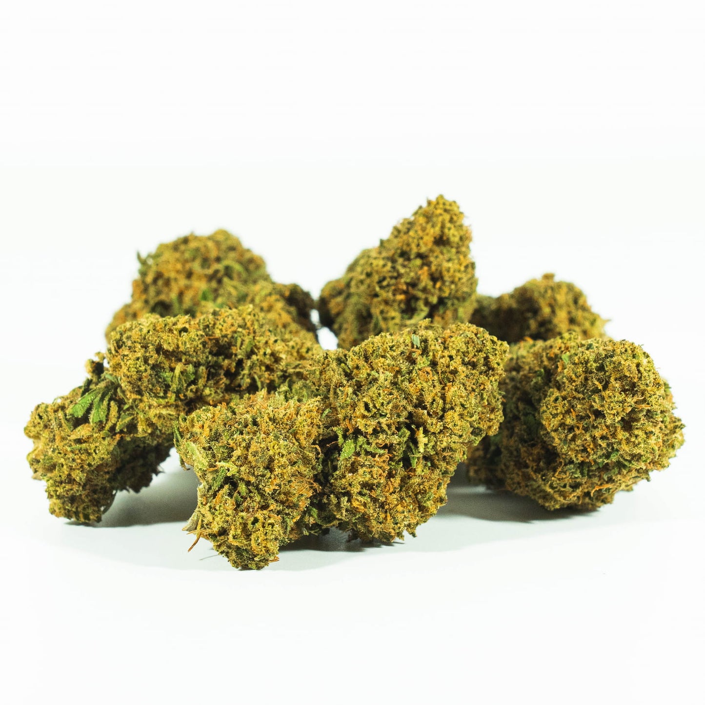 Canapa Cbd Gorilla Glue 5 gr. Solo per fan del Cbd