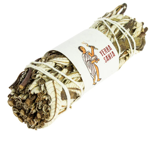 Yerba Santa Atado 8 a 10 cm.