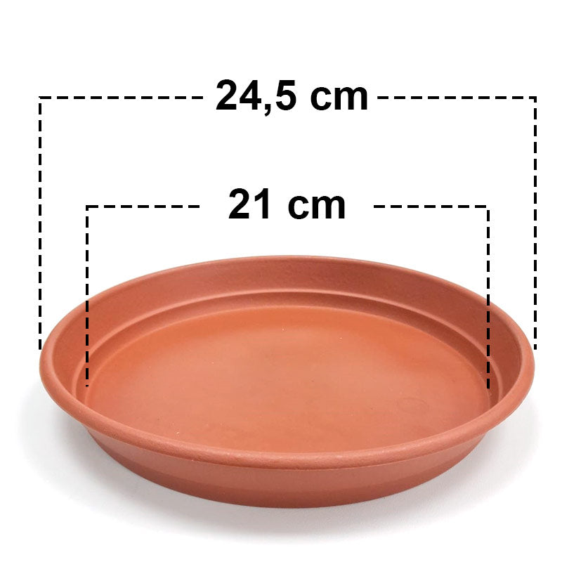 Plato Redondo 26 cm.