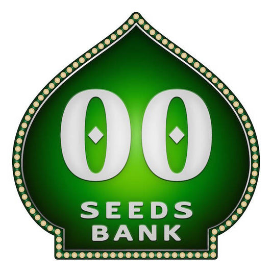 Auto Afghan Mass 5 u. fem. 00 Seeds