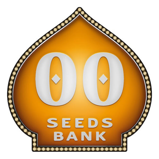 Cheese Berry 5 u. fem. 00 Seeds