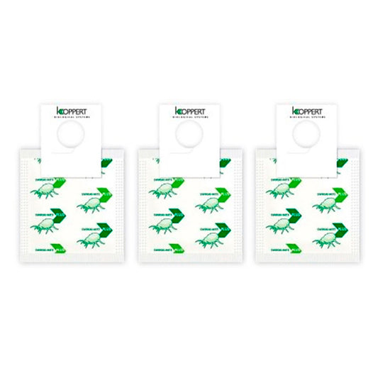 20 sobres Amblyseius Swirskii 250 (Trip, Mosca Blanca, Acaros) Caja