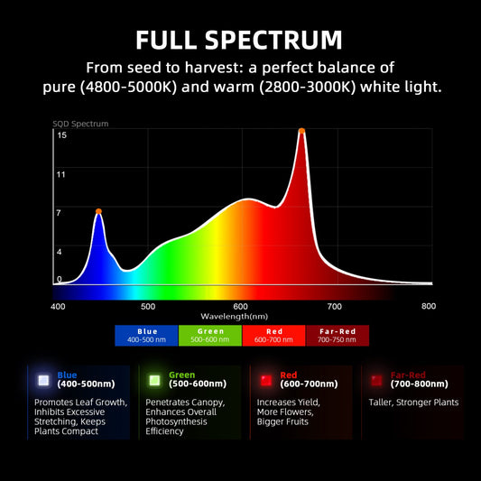 Spider Farmer SF-G5000 LED 480W Bridgelux