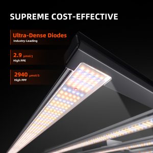 Spider Farmer SF-G1000W LED 1000W Bridgelux