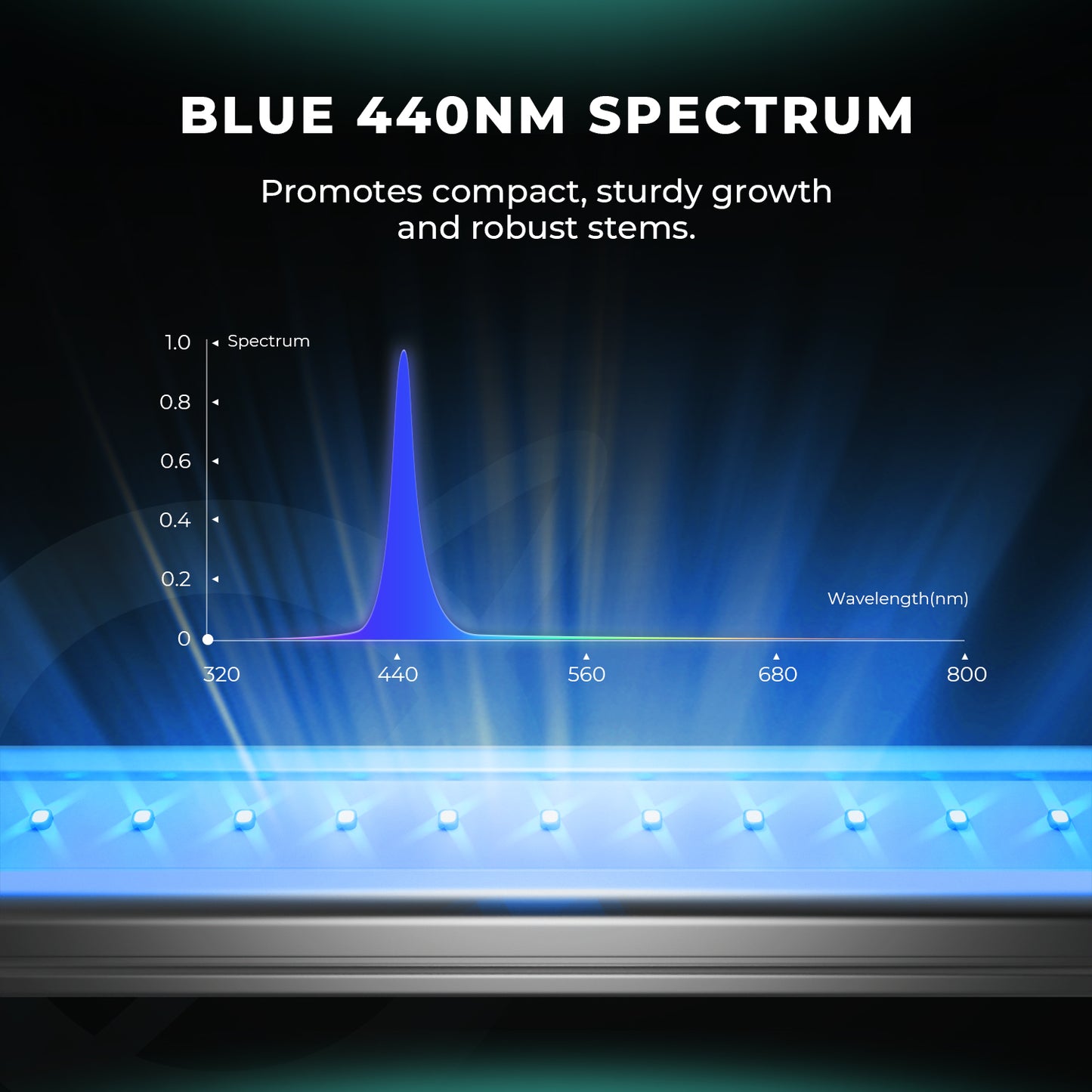 LED Mars Hydro ADLITE-RB55 Deep Red + Blue 108W