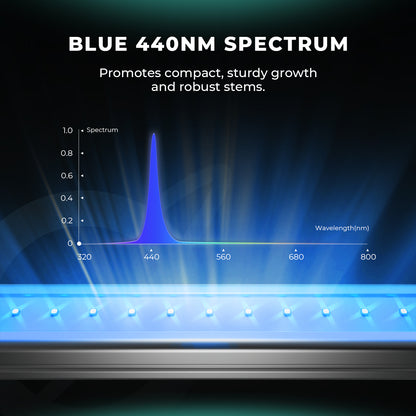 LED Mars Hydro ADLITE-RB30 Deep Red + Blue 60W