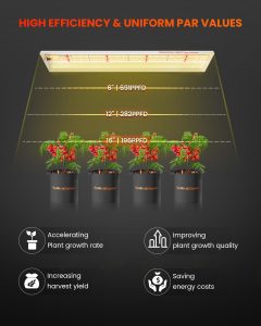 Spider Farmer SF-300 LED 33W diodos LED