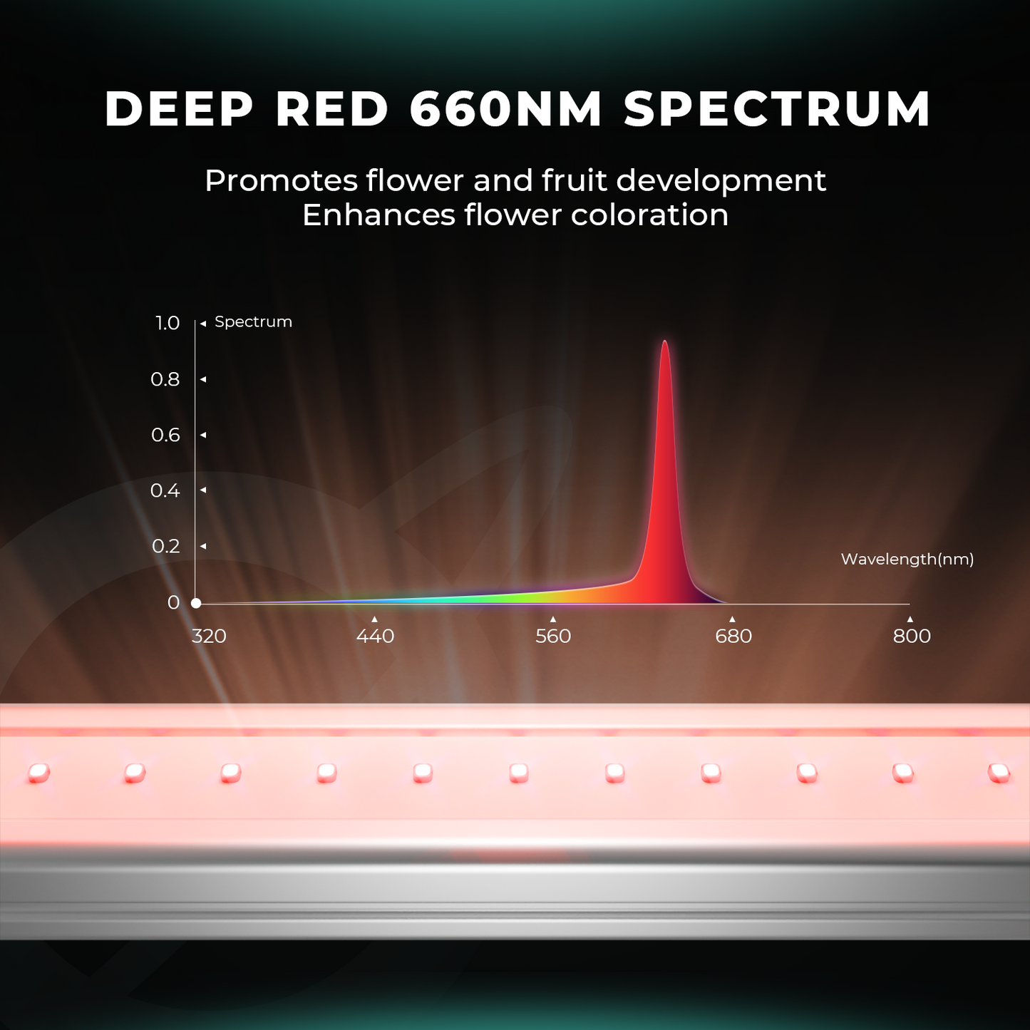 LED Mars Hydro ADLITE-RB55 Deep Red + Blue 108W