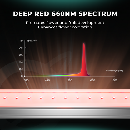 LED Mars Hydro ADLITE-RB55 Deep Red + Blue 108W
