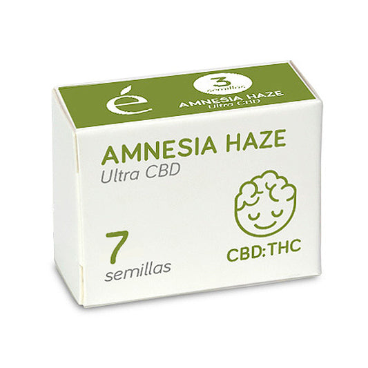 Amnesia Haze Ultra CBD 7 fem. Elite Seeds