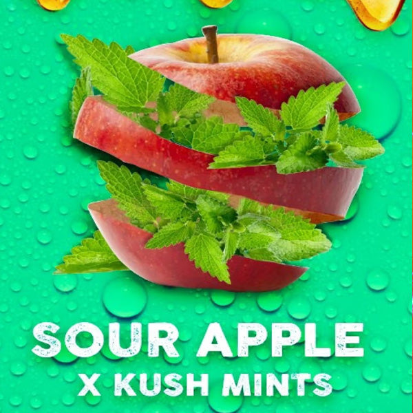 Apple Mints 3 u. fem. Tramuntana Seeds