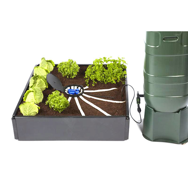 Aquabox Spyder/2 Autopot 48/72 ore.