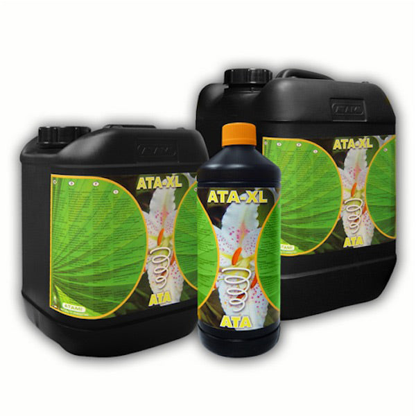 Ata XL  5 lt. Atami B'cuzz