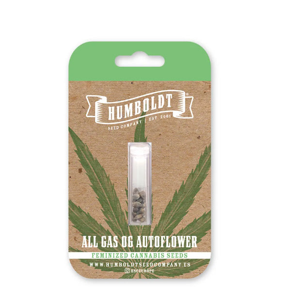 Auto All Gas OG 3 ud. fem Humboldt Seeds Company