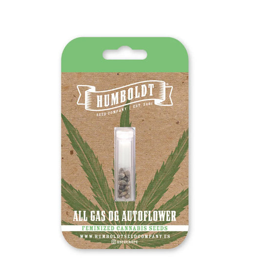 Auto All Gas OG 3 u. fem Humboldt Seeds Company
