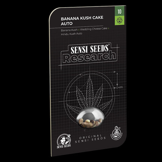 Auto Banana Kush Cake 10 u. fem. Sensi Seeds