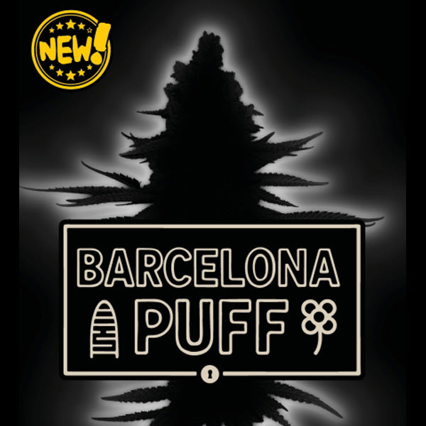Auto Barcelona Puff  fem.  3 u. Seedstockers Superior