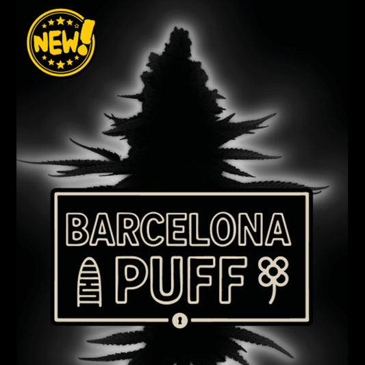 Auto Barcelona Puff  fem.  3 u. Seedstockers Superior
