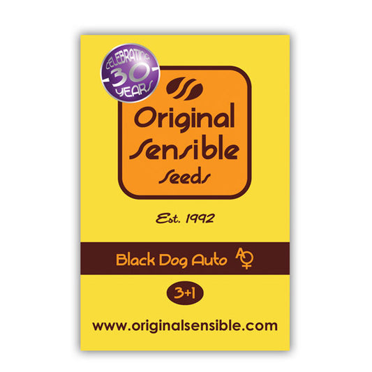 Auto Black Dog  3 u. fem. Original Sensible
