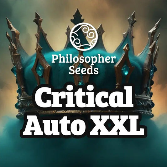 Auto Critical XL 5 u fem Philosopher
