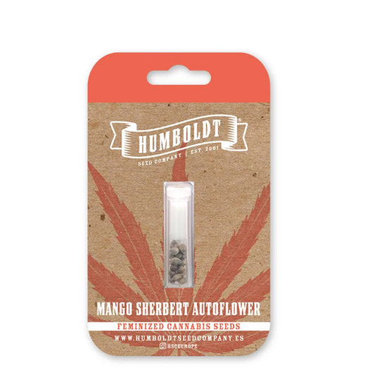 Auto Mango Sherbert 3 u. fem Humboldt Seeds Company
