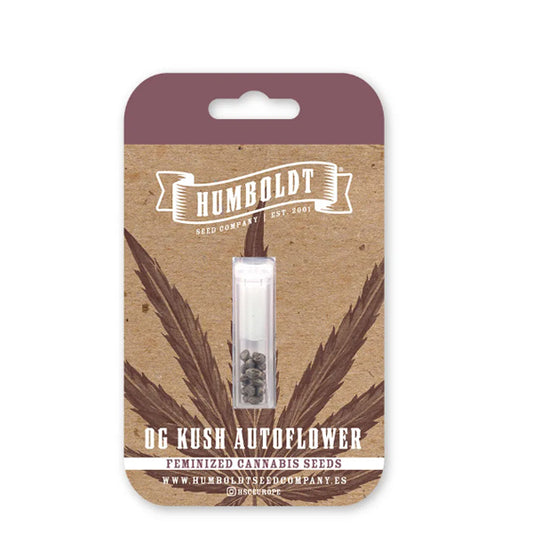 Auto OG Kush 5 u. fem Humboldt Seeds Company