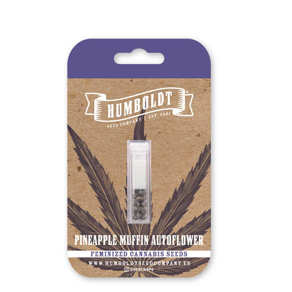 Auto Pineapple Muffin 3 u. fem Humboldt Seeds Company
