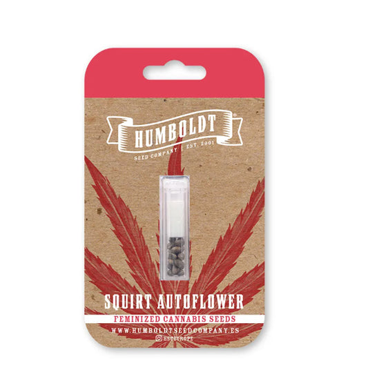 Auto Squirt 3 u. fem Humboldt Seeds Company