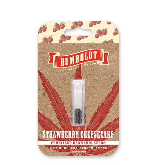 Auto Strawberry Cheesecake 3 u. fem Humboldt Seeds Company