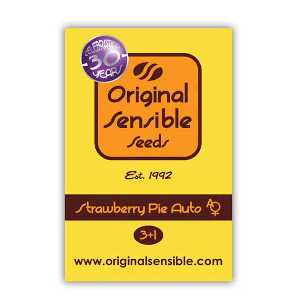 Auto Strawberry Pie 5 u. fem. Original Sensible