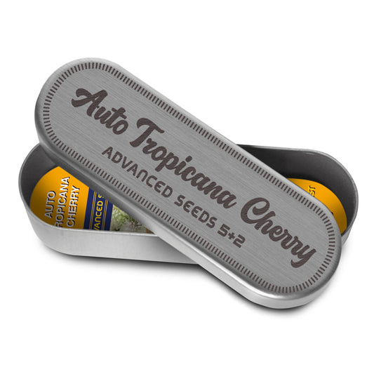 Auto Tropicana Cherry   5 + 2 u. fem. Advanced Seeds