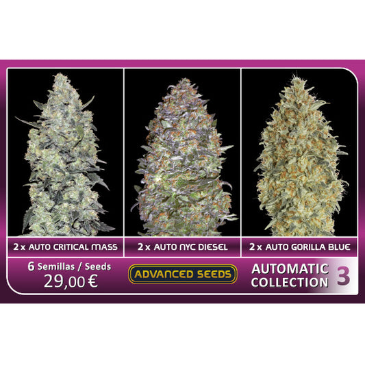 Automatic Collection #3 - Advanced Seeds