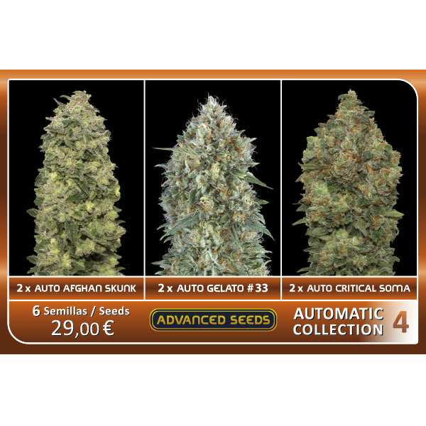 Automatic Collection #4 - Advanced Seeds