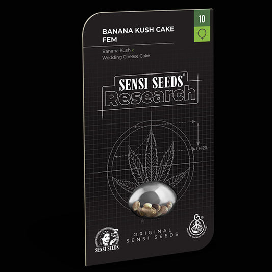 Banana Kush Cake  3 u. fem. Sensi Seeds Research