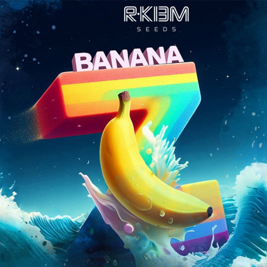 Banana Z  5 u. fem R-Kiem Seeds