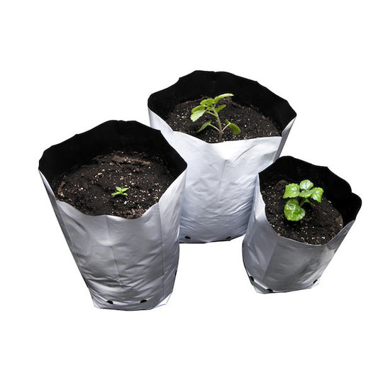 Borsa di coltivazione bianca 4 lt. 1 gallone - 22 x 35 cm. 100 pz.