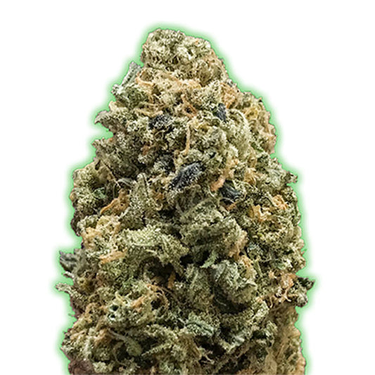 Bruce Banner 3 u. fem. Monster Genetics