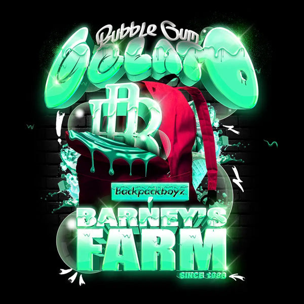 Bubblegum Gelato 10 u. fem. Barney's x Backpack Boyz