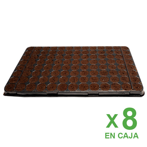 Scatola di Vassoi Plugin Pro 104 Alveoli (8 Vassoi)