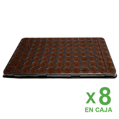 Scatola di Vassoi Plugin Pro 104 Alveoli (8 Vassoi)