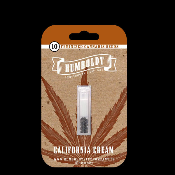 California Cream 3 u. fem Humboldt Seeds Company