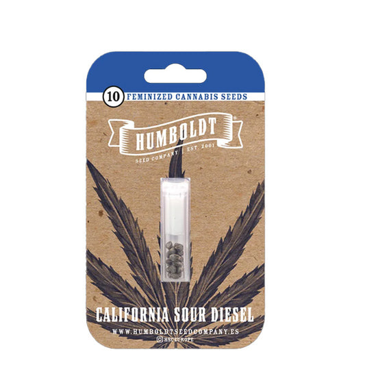 California Sour Diesel 5 u. fem Humboldt Seeds Company