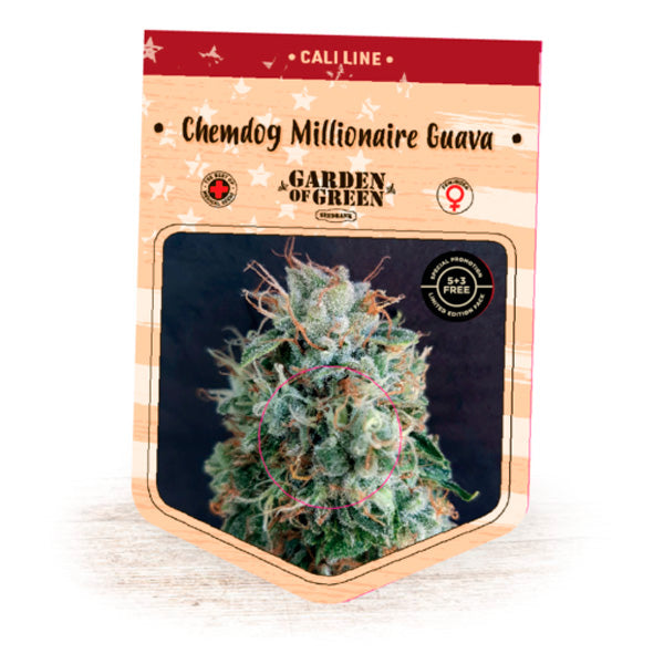 Chemdog Millionaire Guava  1 pz. fem. Garden of Green Seeds