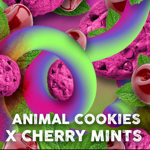 Cherry Cookies Mints 5 pz. fem. Tramuntana Seeds